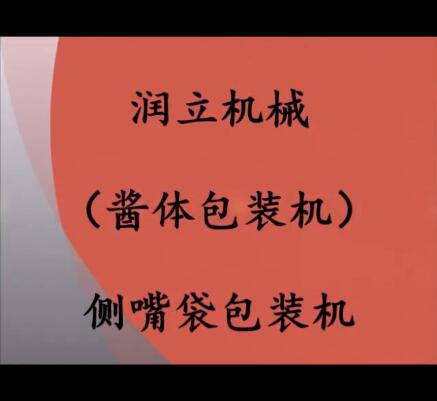 自動醬體包裝機(jī)；帶嘴袋包裝機(jī)